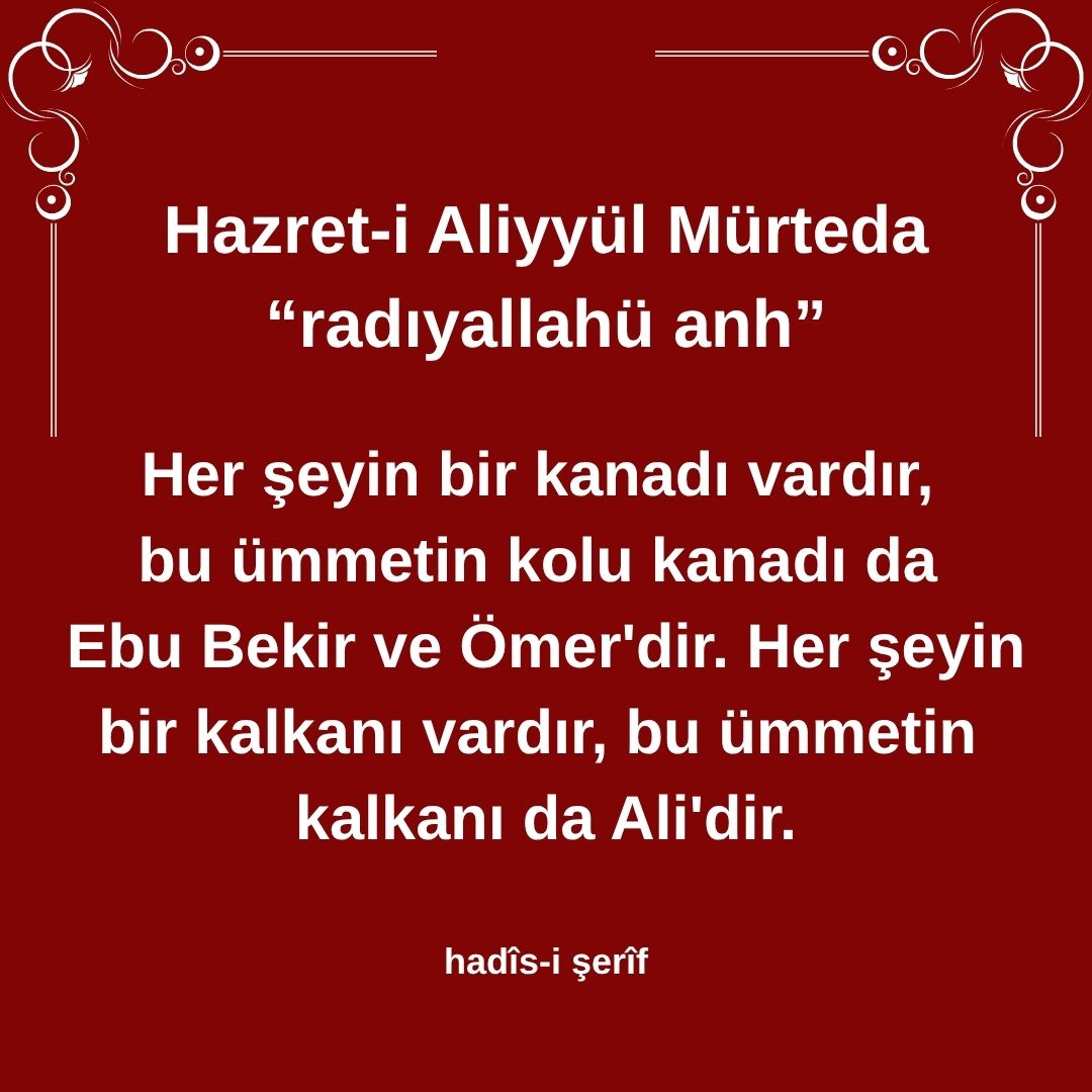 Aliyyül Mürteda (34)